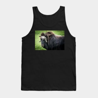 North American Wildlife - Bull Musk Ox Tank Top